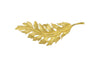 1961 Coro Brushed Gold Tone Leaf Brooch - Hers and His Treasures
