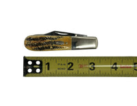 2019 Case XX 6.52009 1/2 Bone Stag Barlow Pocket Knife - Hers and His Treasures