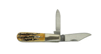 2019 Case XX 6.52009 1/2 Bone Stag Barlow Pocket Knife - Hers and His Treasures