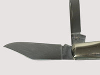 2019 Case XX 6.52009 1/2 Bone Stag Barlow Pocket Knife - Hers and His Treasures