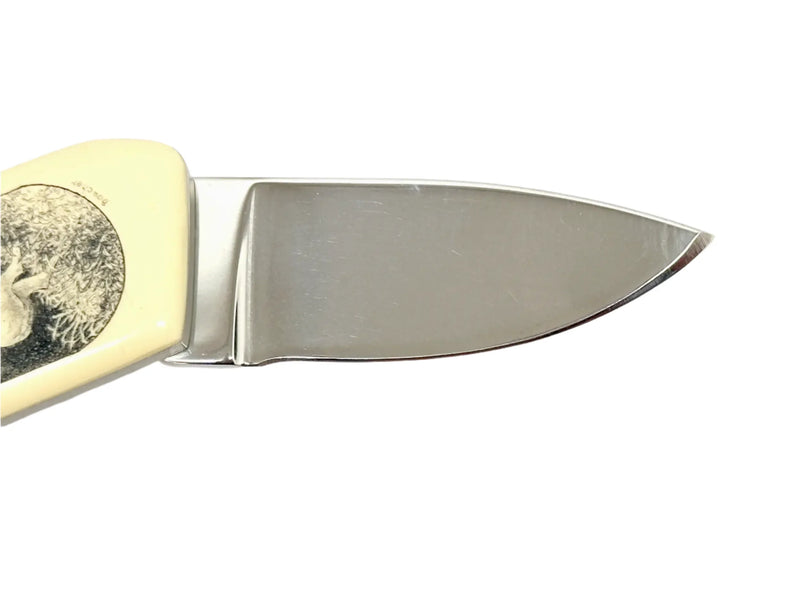 Gerber Touché Whitetail Deer Wood Inlay Belt Buckle Knife | USA - Hers and His Treasures