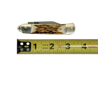 Hubertus Otter HB 68.110.HH.08 Buck Horn Small Springer Assist Pocket Knife | Germany - Hers and His Treasures