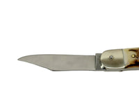 Hubertus Otter HB 68.110.HH.08 Buck Horn Small Springer Assist Pocket Knife | Germany - Hers and His Treasures