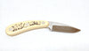 Parker Frost Bird Dog Scrimshaw Fixed Blade Knife with Sheath  - Hers and His Treasures