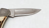 1998 Buck Collectors Club Custom 505CC Knight Stag Lockback Knife - Hers and His Treasures